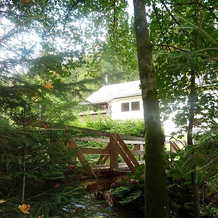 Apartment Schwarzwald Total Freudenstadt Rom bilde