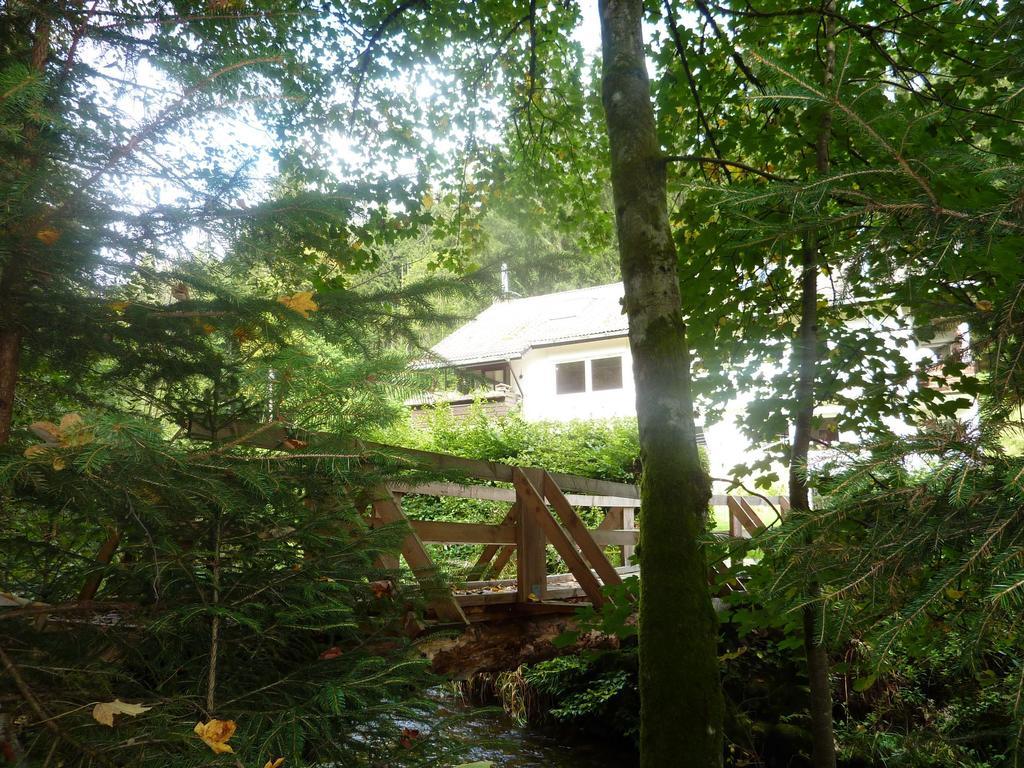 Apartment Schwarzwald Total Freudenstadt Rom bilde
